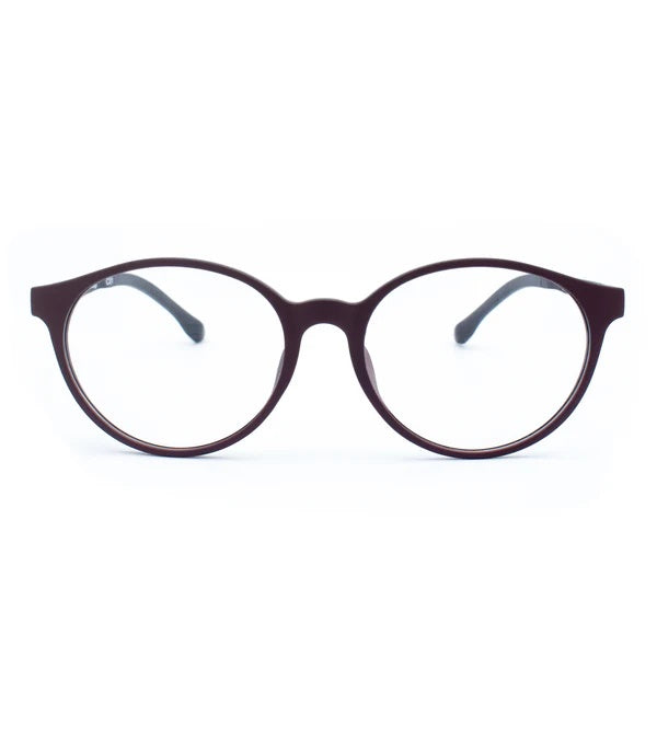 Grand Maple Optical Limited — image 3